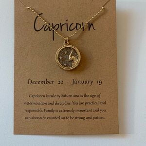 3/$15 Capricorn Necklace